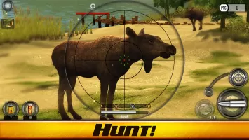 Wild Hunt