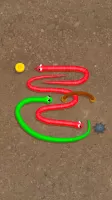 Snake Knot: Sort Puzzle Game