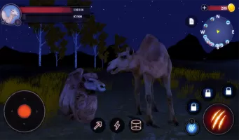 The Camel