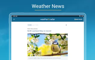 Weather & Radar