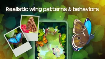 Flutter: Butterfly Sanctuary