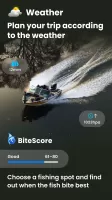 FISHSURFING