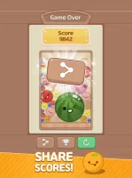 Melon Maker : Fruit Game