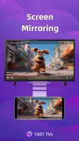 1001 TVs