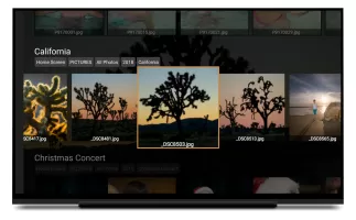 PhotoGuru Media Player