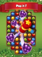 Fruits Magic Sweet Garden