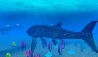 Leedsichthys Simulator