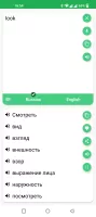 Russian - English Translator