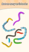 Tangled Snakes Puzzle Game