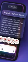 Knowunity