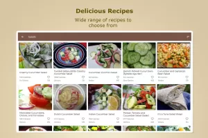 Lunch Recipes