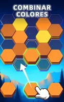 Hexa Puzzle Game: Color Sort