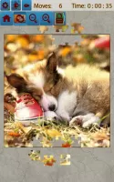 Dogs Jigsaw Puzzles