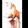 •Floppy Fox•