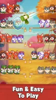 Cat Sort Puzzle: Cute Pet Game