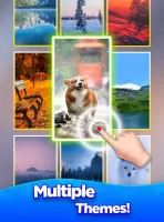 Card Master