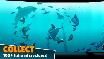 Creatures of the Deep: Fishing