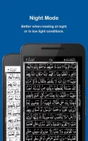 HOLY QURAN - القرآن الكريم