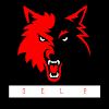 SELP Official