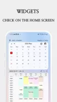 Daily Schedule