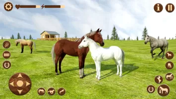 Wild Horse Riding Sim: Racing