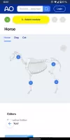 AO Surgery Reference