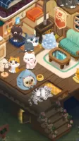 Secret Cat Forest