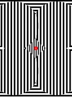 Optical illusions