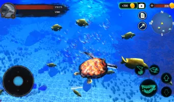 The Turtle