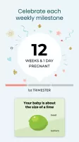 Pregnancy App & Baby Tracker