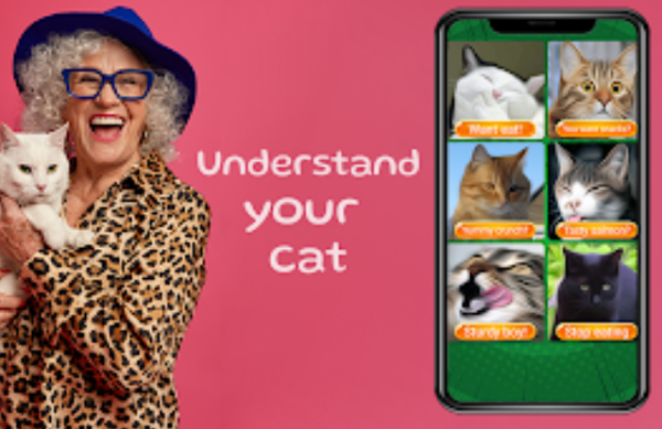 Laser for cat. Cat games. Joke