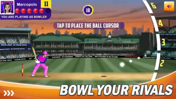 CPL Tournament- Cricket Cup