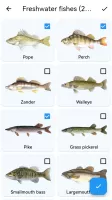 Fish Planet Calendar