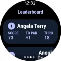 Hole19