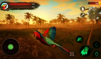 The Parrot