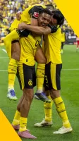 BVB