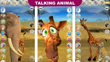 Talking George The Giraffe