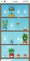 Terrarium: Garden Idle