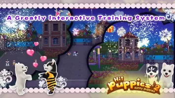 Hi! Puppies2