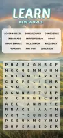 Word Search Explorer