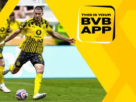 BVB