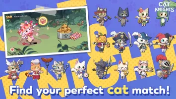 Cat & Knights