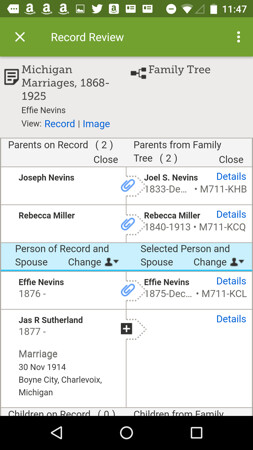 FamilySearch Tree