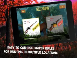 Deer Hunting in Hunter Valley