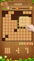 Wood Block Puzzle Addictive