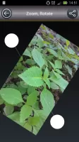 Video Editor