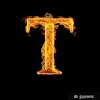 Mr. T