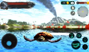 The Turtle