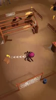 The Spider Nest