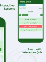 English to Urdu Translator